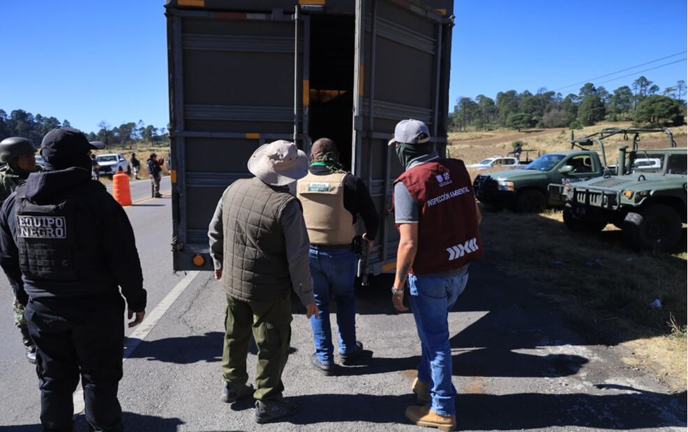 Durante la inspección de 51 vehículos de carga que se realizó el viernes, se identificaron dos unidades transportando madera (tablones, polines y barrotes) sin contar con la autorización correspondiente. Foto: especial