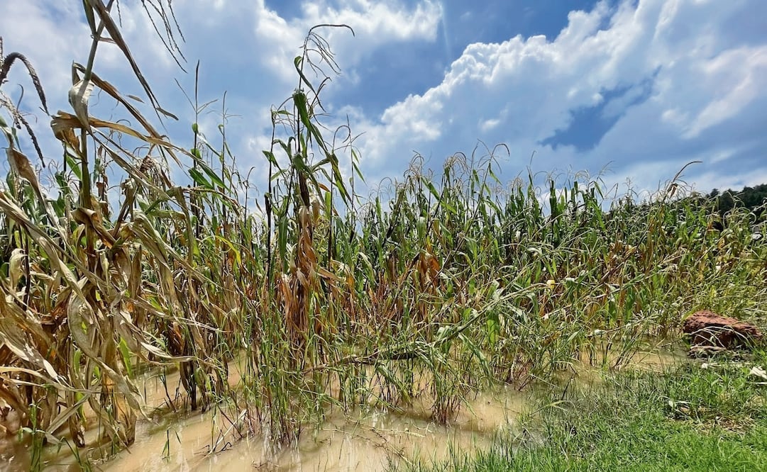 El nivel del agua alcanzó en algunos puntos más de 1.80 metros, dijo el comisariado. Foto: Michelle Baños / EL UNIVERSAL