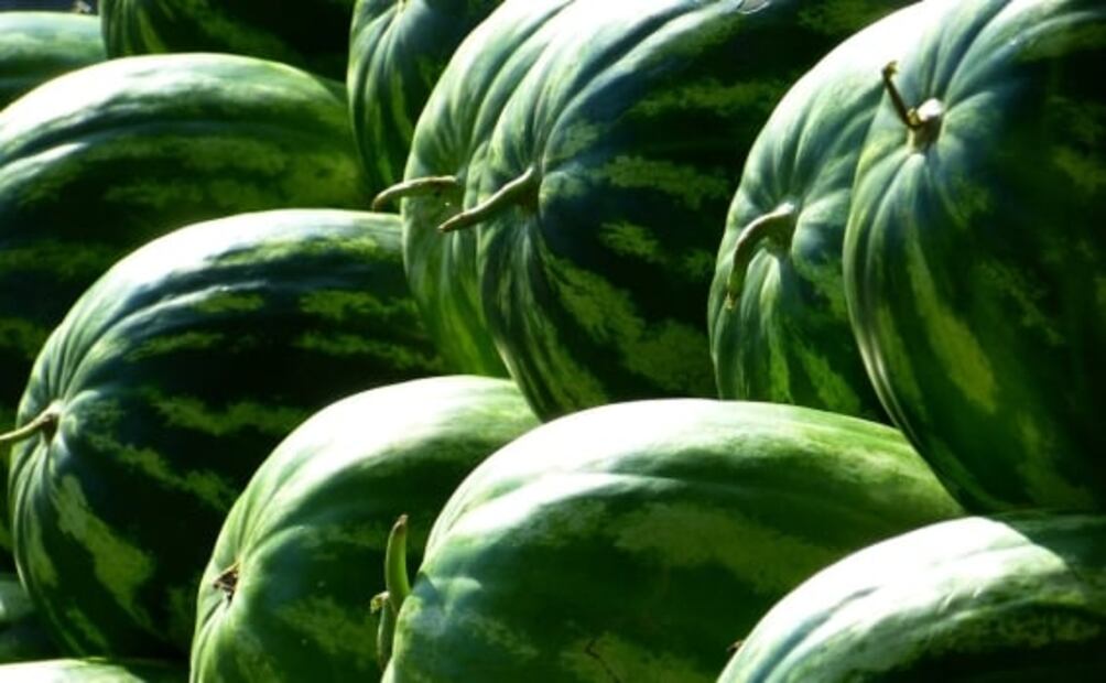 Estos son los precios de las frutas de temporada