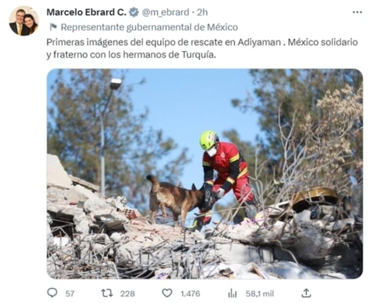 VIDEO ¡Patas a la obra! Así laboran los binomios caninos mexicanos en Turquía, tras devastador terremoto