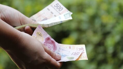 ¡OJO! Estos son los billetes que saldrán de circulación en 2024