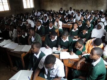 Migrantes africanos criticados por Trump tienen mayor educación que estadounidenses