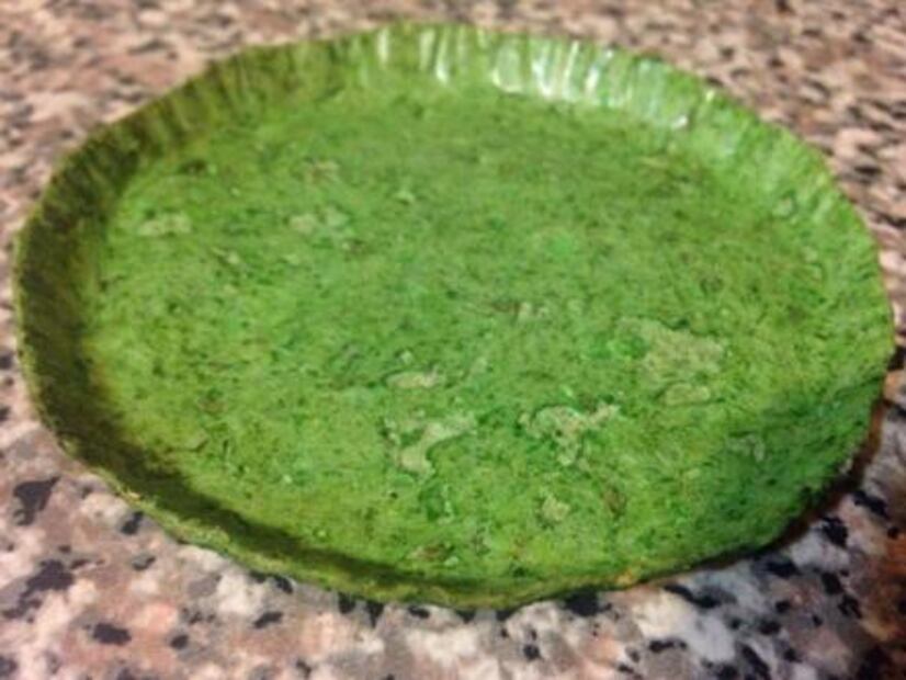 Mexicanas crean platos con nopal