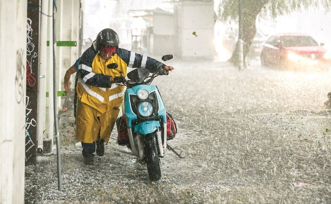 Foto: Archivo EL UNIVERSAL