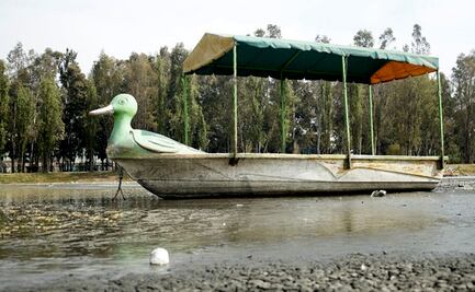 Rehabilitan lago en Bosque de Tláhuac tras sismo