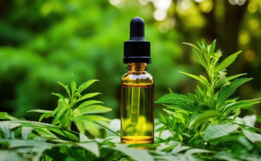 El cannabis medicinal ha demostrado beneficios en el tratamiento de múltiples patologías. Fuente: Freepik.