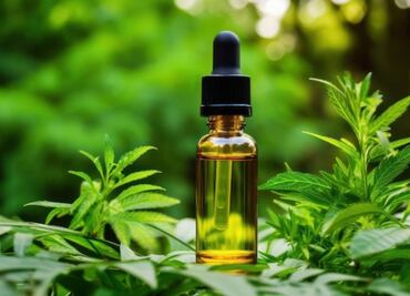 Estos son los beneficios del aceite de cannabis para personas que padecen hipertensión, según la ciencia