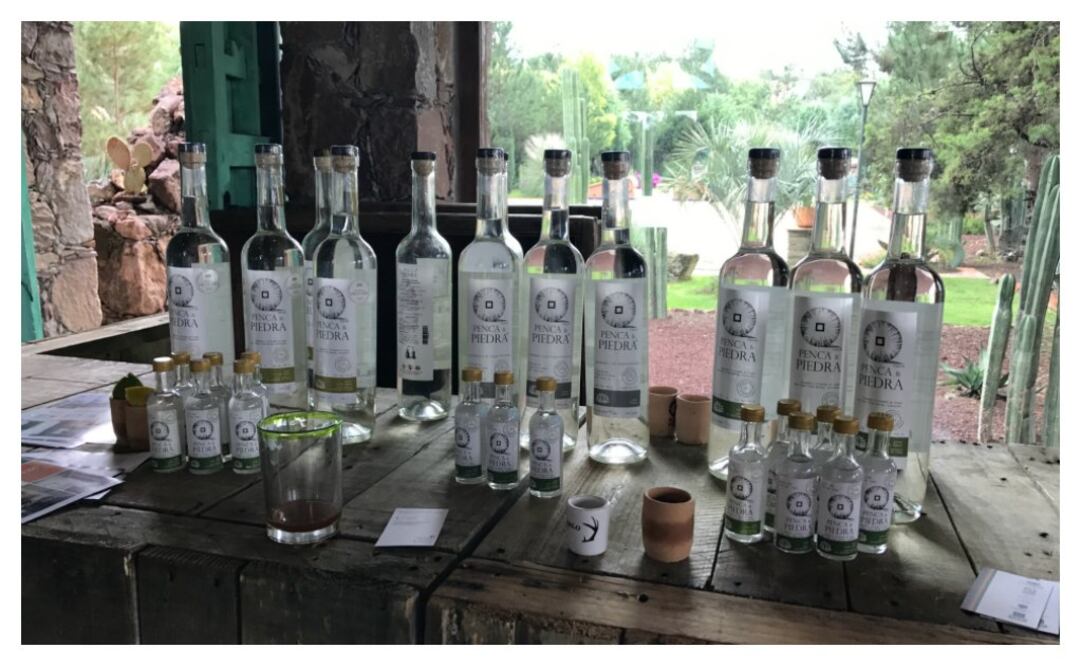 En Guanajuato hay mezcales y tequilas, pero también aguardientes regionales de agave (foto: María Hernández)