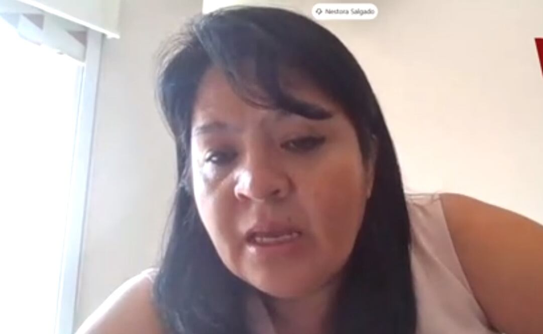 Captura de pantalla @MorenaSenadores 