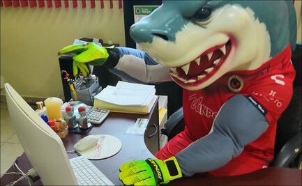 Mascota del Veracruz prepara su CV para pedir trabajo