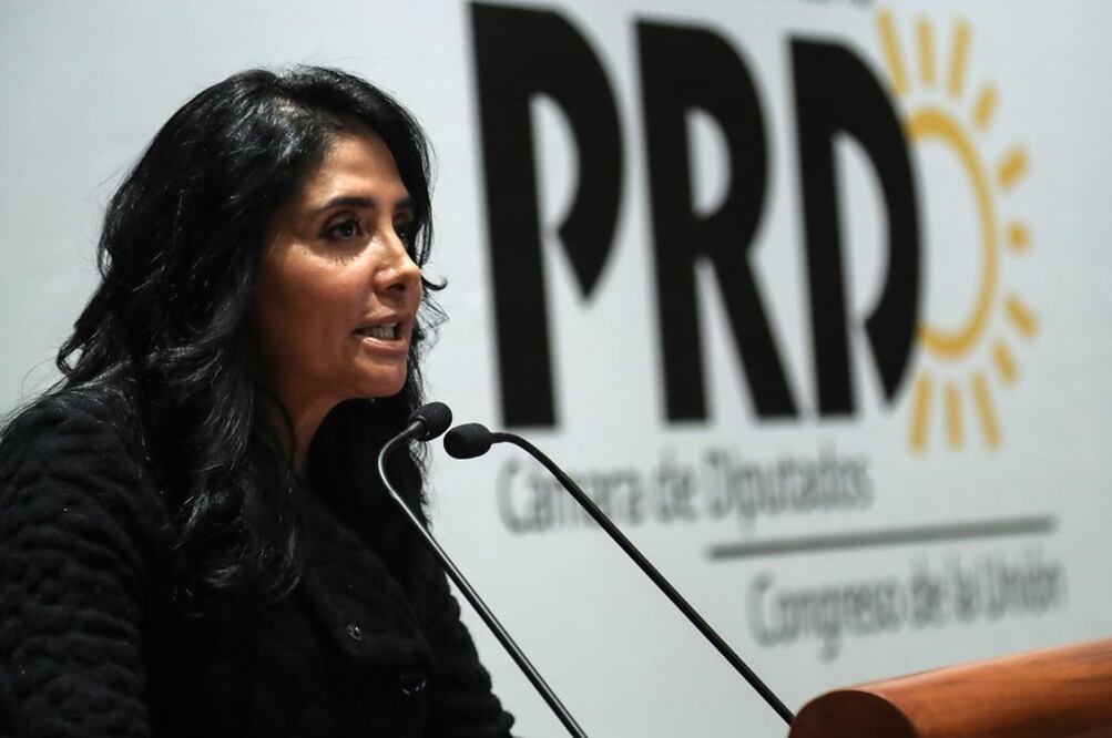 Para la dirigente del PRD hay una urgencia por blindar a los ediles y alcaldes Foto: Archivo/EL UNIVERSAL