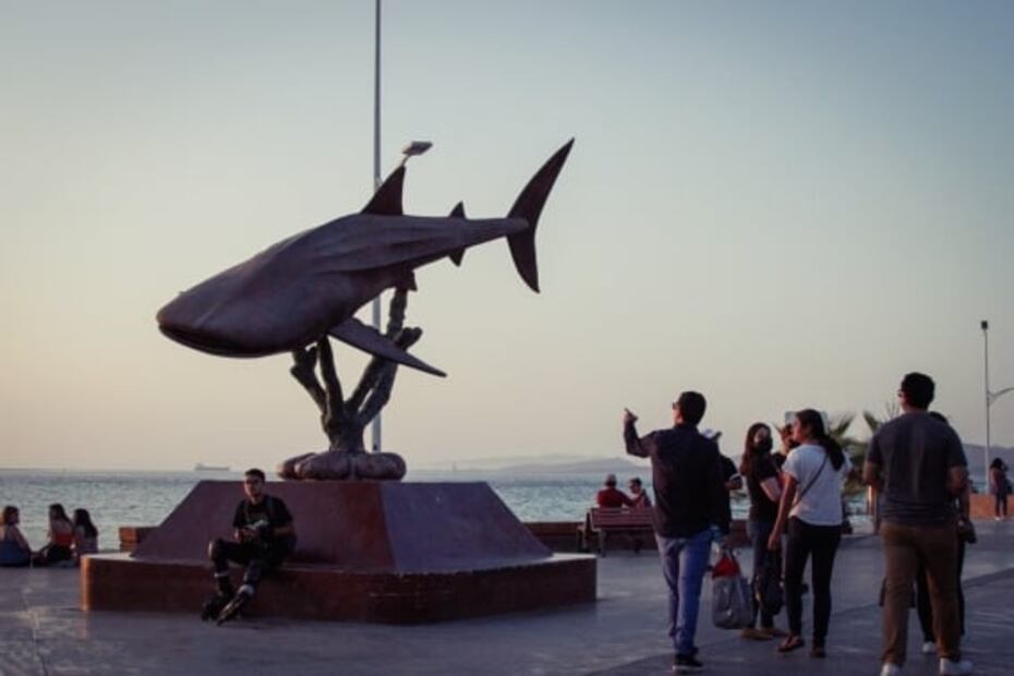 Tiburón ballena: nada con el pez más grande del mundo en La Paz
