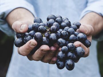 Cómo identificar una uva malbec