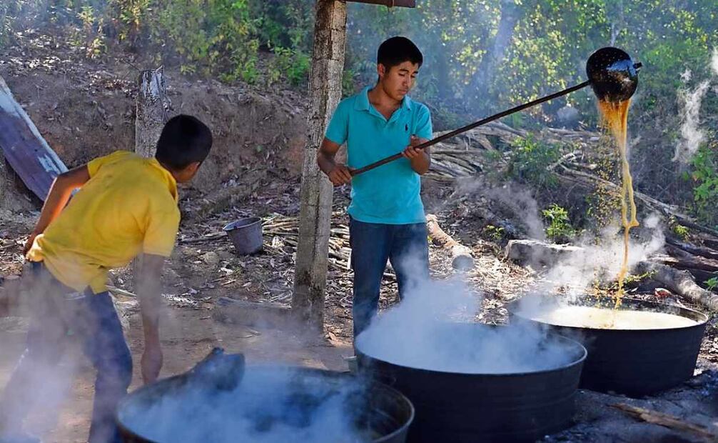 El jugo de la caña es colocado en tinas de barro o aluminio y es cocido en leña por varias horas 26 de enero. Foto: Salvador Cisneros / EL UNIVERSAL
