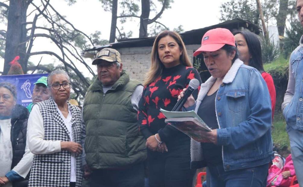 La altura mínima de los árboles navideños es de 1.5 metros y los precios van de los 900 a tres mil pesos, dependiendo de su tamaño, mientras que las flores de nochebuena costarán de 60 a 300 pesos. Foto: Especial