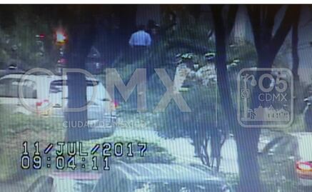 Árbol cae en Mariano Escobedo, frente a hotel Camino Real