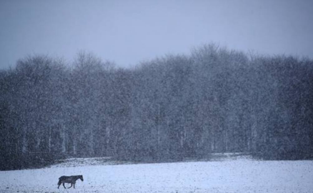 Tormenta "Ciara" deja al menos 6 muertos y varios heridos en Europa