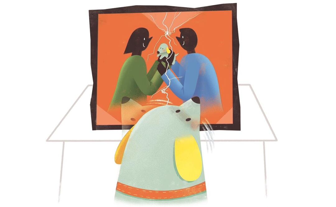 Ilustración: Ani Cortés