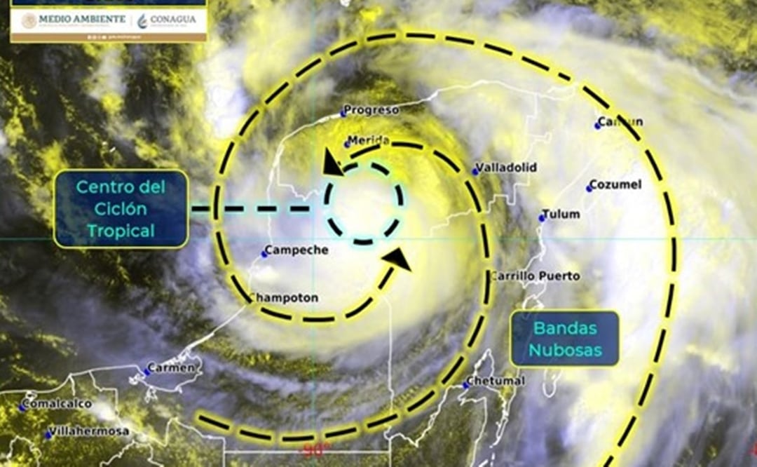 Foto: Archivo/EL UNIVERSAL 