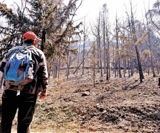 Controlan incendio en la sierra de Guadalupe en CDMX