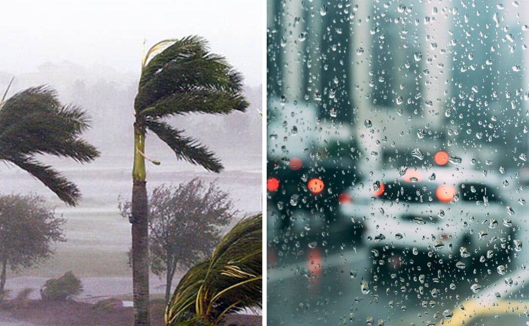 Fenómeno "La Niña". Foto: Captura de pantalla