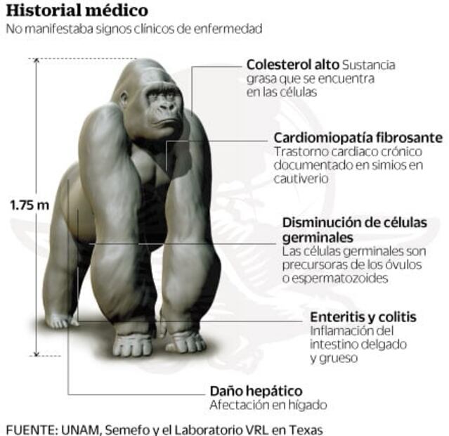 Los achaques de 'Bantú'