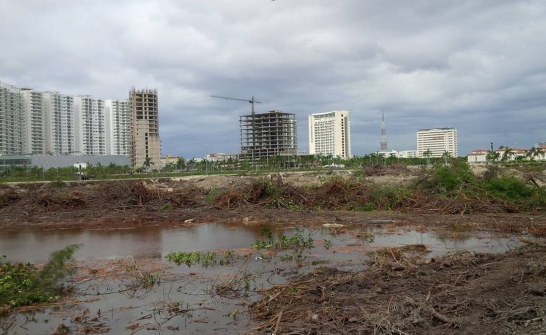 Adriana Varillas / EL UNIVERSAL