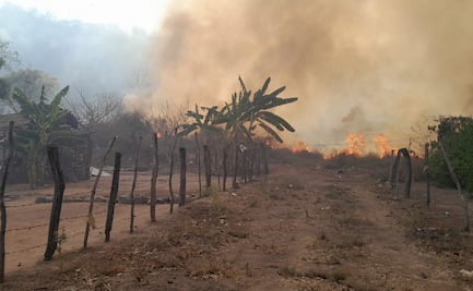 Muere segundo brigadista tras quedar atrapado en incendio forestal en Concordia, Sinaloa