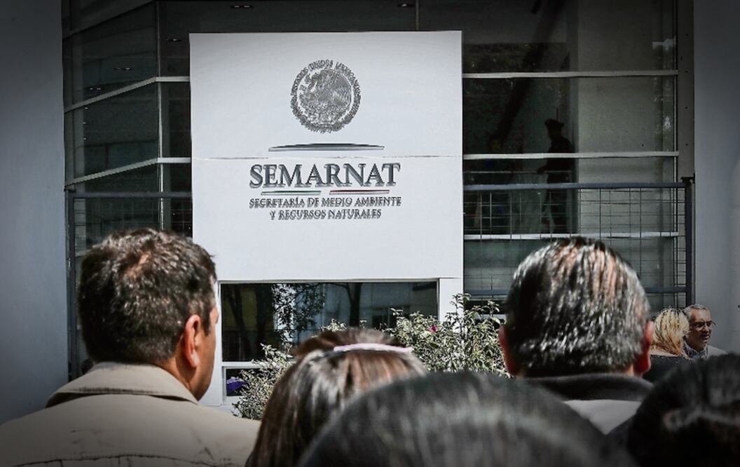 Semarnat declara 6 nuevas áreas naturales. Foto: EL UNIVERSAL