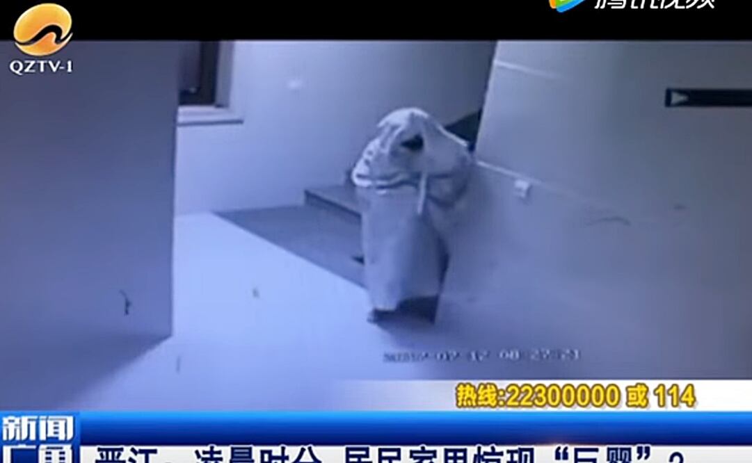 (Foto: Captura de pantalla)