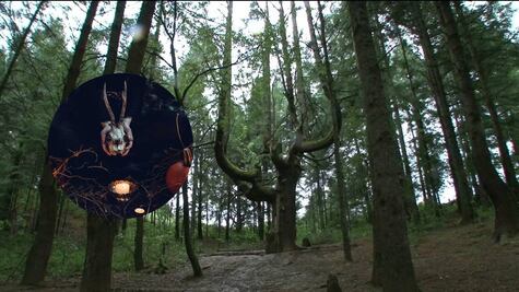 ¿Te atreves? Tour de brujas y nahuales en Peña de Lobos