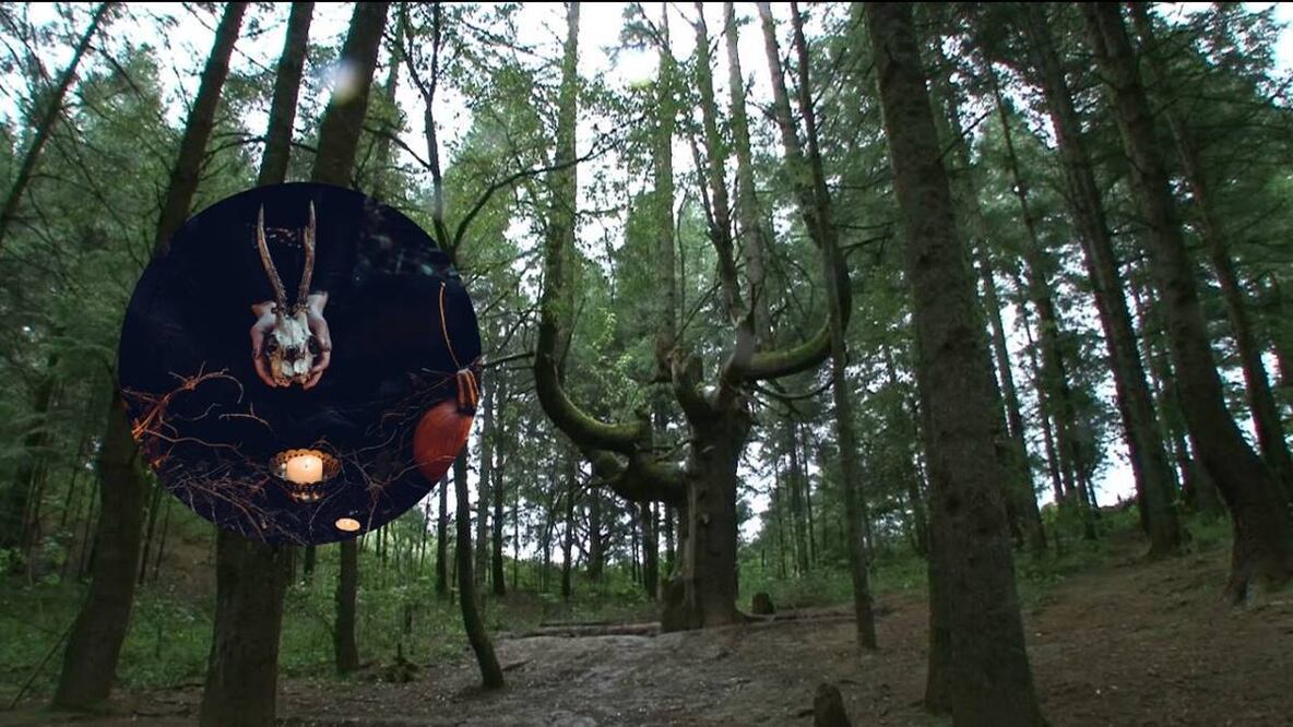 Fotos: AMIP; Freestocks. Unsplash