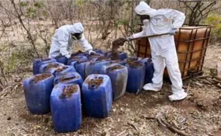 Ejército desmantela 21 laboratorios de drogas en Sinaloa; suman 182 en lo que va del año