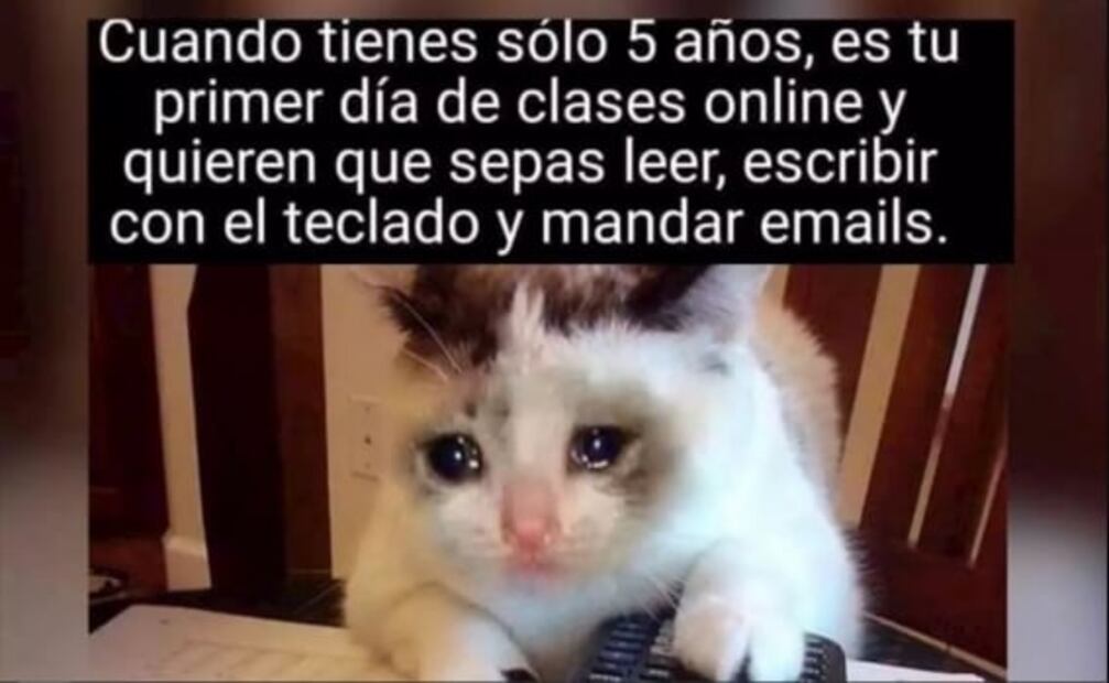 Los mejores memes del regreso a clases virtuales