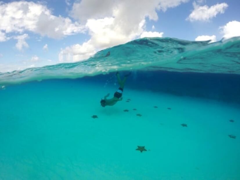 El Cielo, la playa de Cozumel donde habitan estrellas de mar