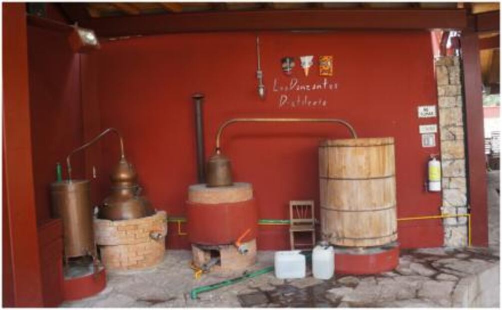Sin maguey no hay mezcal