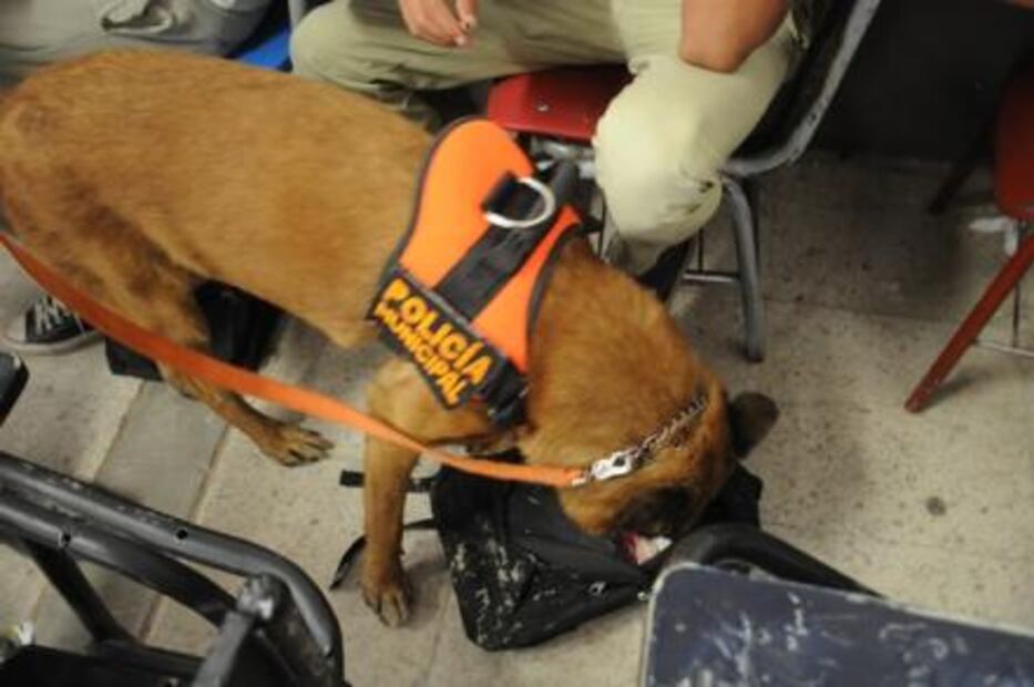 Desde 2015, no hallan armas en 'Operativo Mochila' en Hermosillo