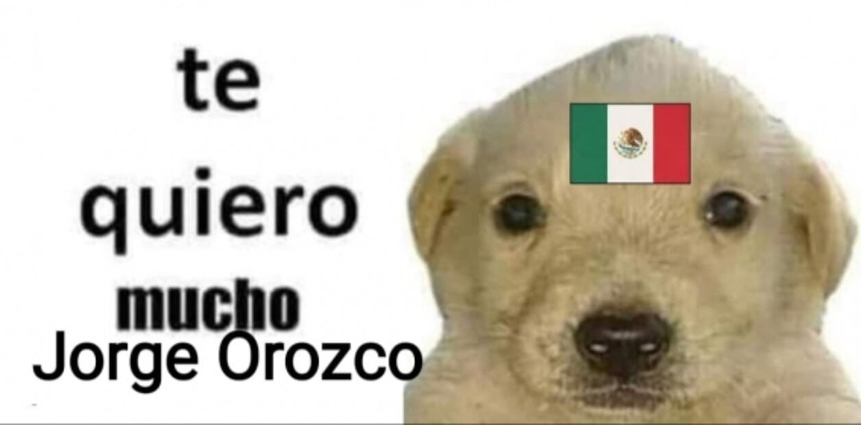 Vacunación para jóvenes, Paty Navidad y la consulta popular: las noticias de la semana en memes