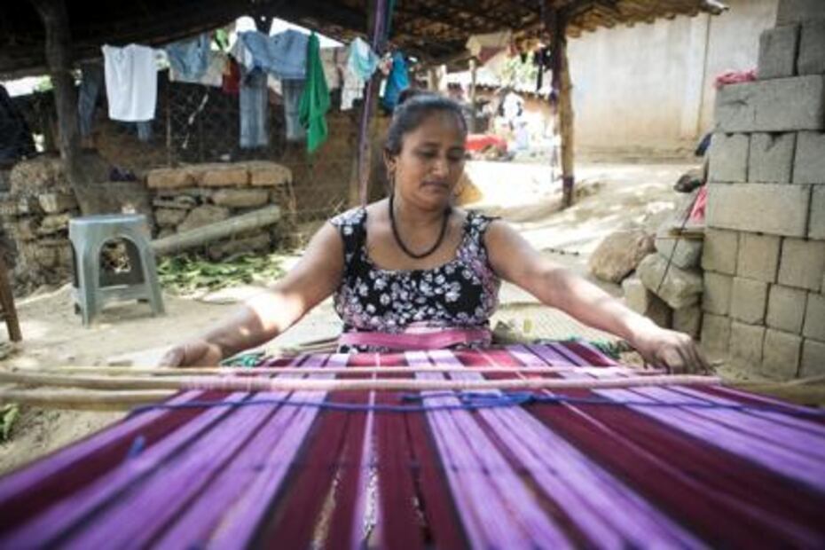 The Pre-Hispanic dye on the brink of extinction 