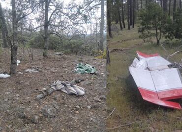 Encuentran pista de aterrizaje clandestina y campamento delictivo en Guachochi, Chihuahua