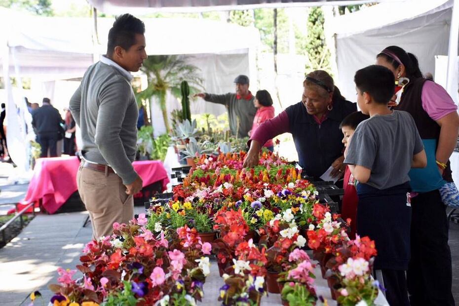 Foto: Sectur CDMX