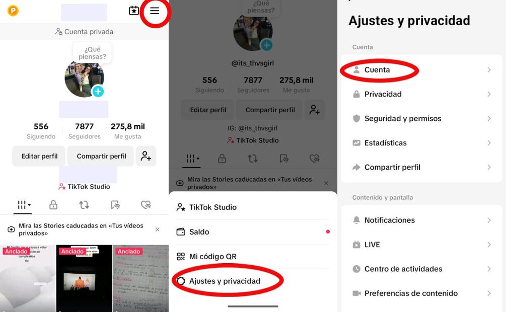 Descargar videos de TikTok. Imagen: captura de pantalla