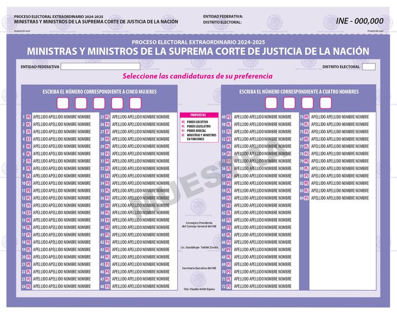 De colores y distintos tamaños, Comisión del INE aprueba boletas para elección judicial; falta voto del Consejo General