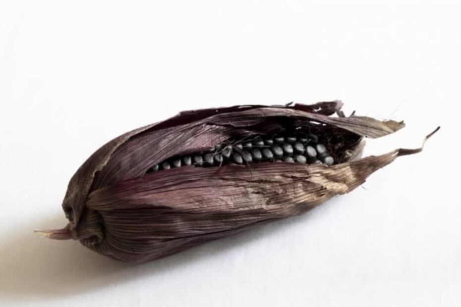 Atole morado de Ixtenco, Tlaxcala es la receta ganadora del concurso A qué sabe la Patria