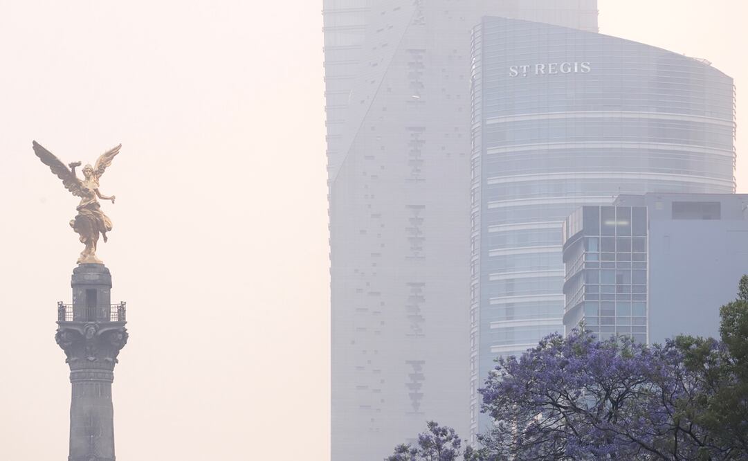 Foto: Valente Rosas/EL UNIVERSAL