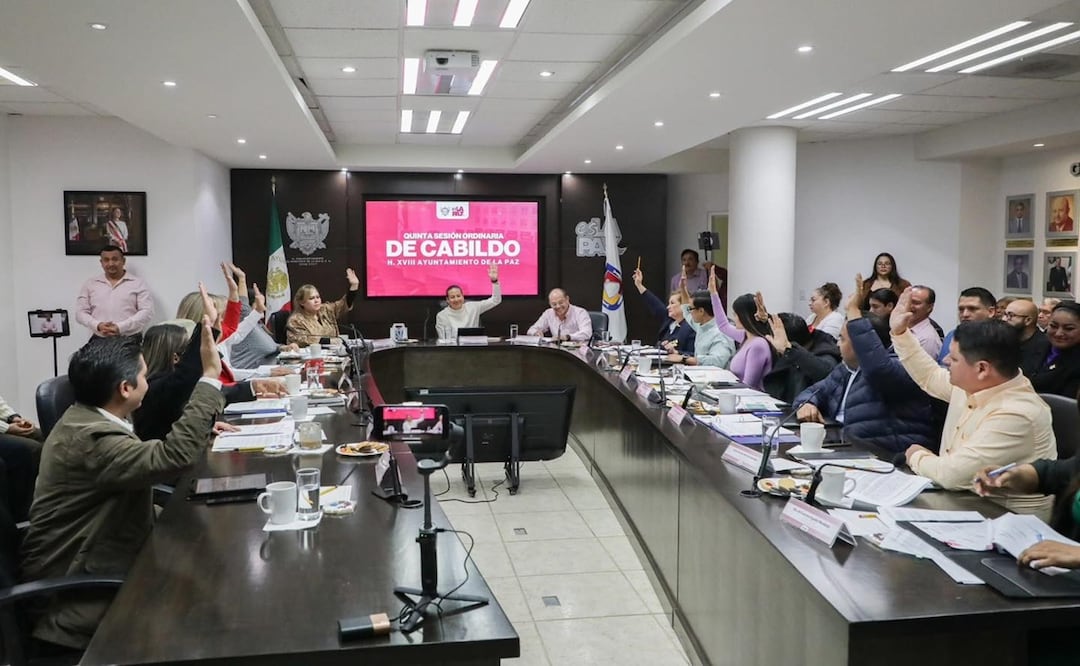 La Paz prohíbe la venta y uso de pirotecnia ruidosa para proteger a grupos vulnerables. Foto: Especial