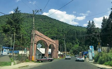 Bosque de Agua. Pobladores llevan décadas en defensa de reserva natural