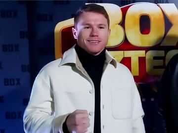 Un gato de mil dólares, la excéntrica mascota del Canelo Álvarez