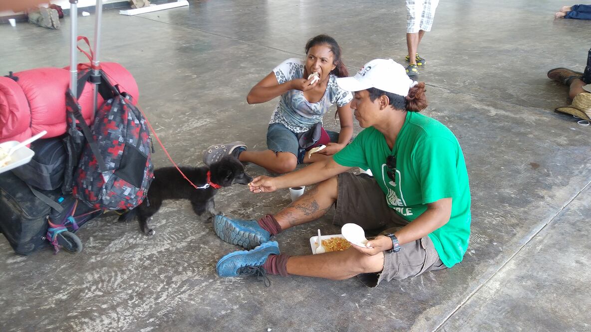 Foto: Alberto López / EL UNIVERSAL