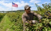 Trabajo en Estados Unidos. Foto: ChatGPT